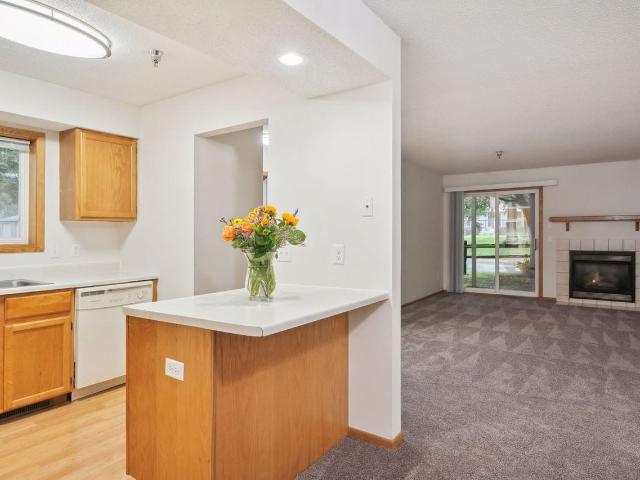 Apartment for rent in Coon Rapids, Minnesota