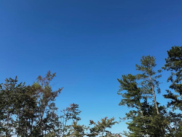 Land for sale in Centre, Alabama