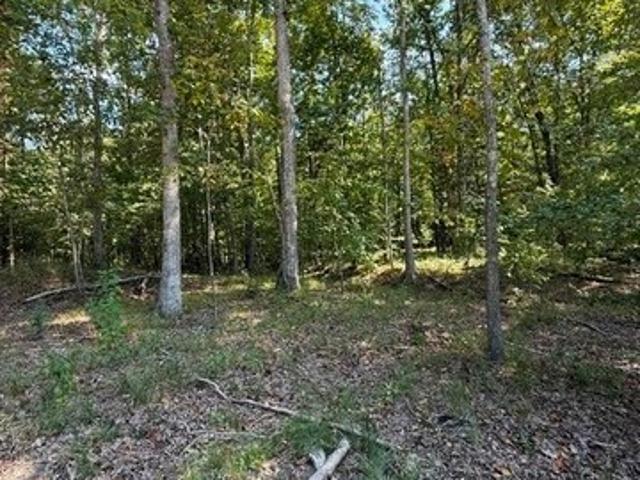 Land for sale in Powhatan, Powhatan County