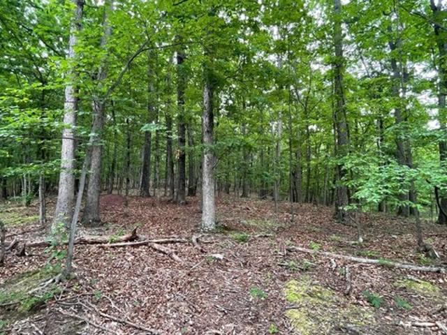 Land for sale in Slanesville, West Virginia