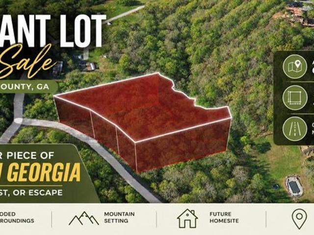 Land for sale in Morganton, Georgia