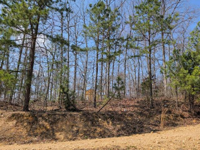House for sale in Annapolis, Missouri