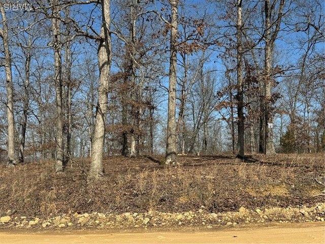 Land for sale in Annapolis, Missouri