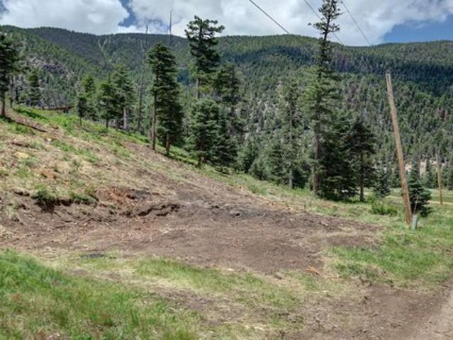 Land for sale in Red River, Taos County