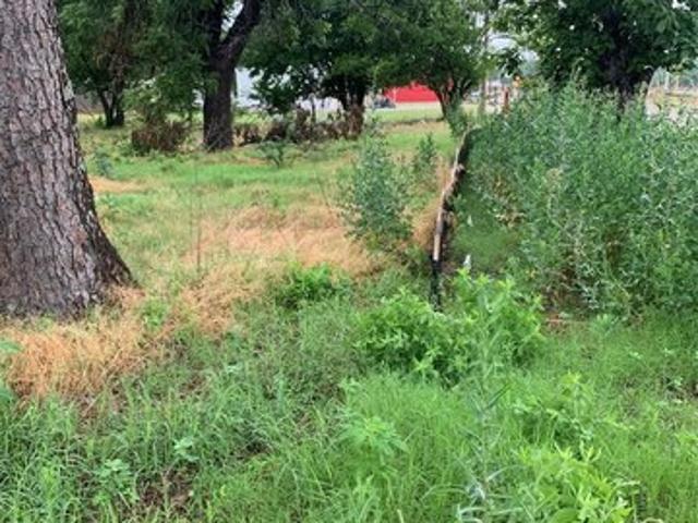 Land for sale in Thackerville, Oklahoma
