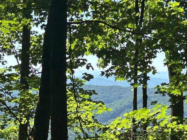 Land for sale in Murphy