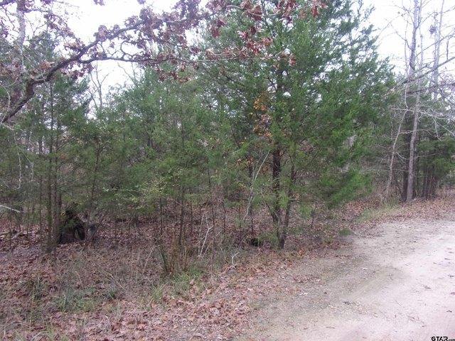 Land for sale in Henderson, Texas