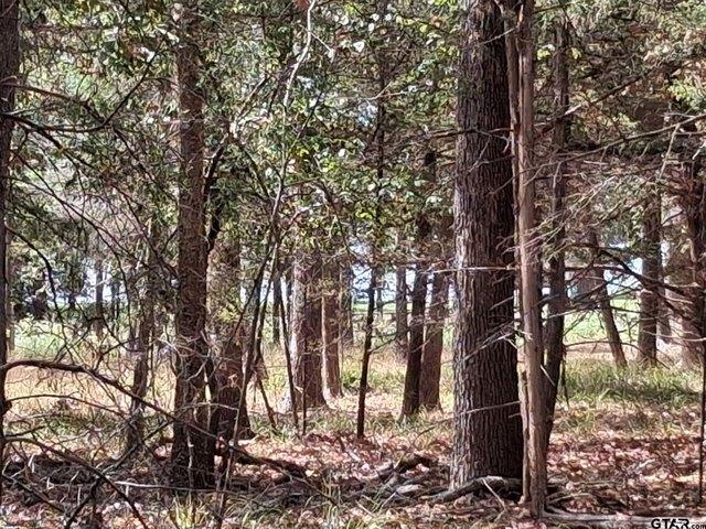 Land for sale in Henderson, Texas