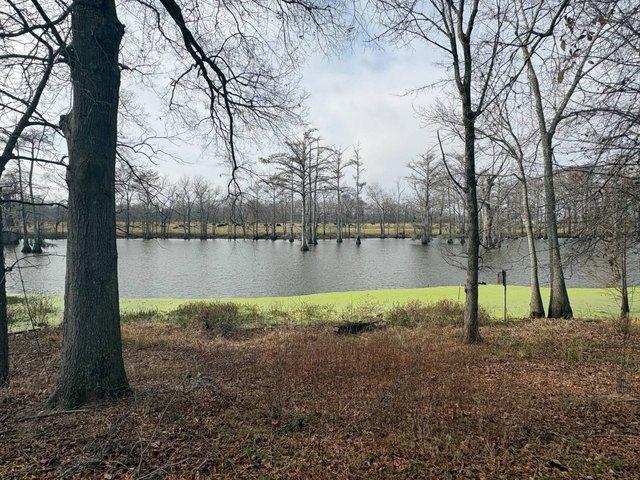 Land for sale in Morehouse, Louisiana