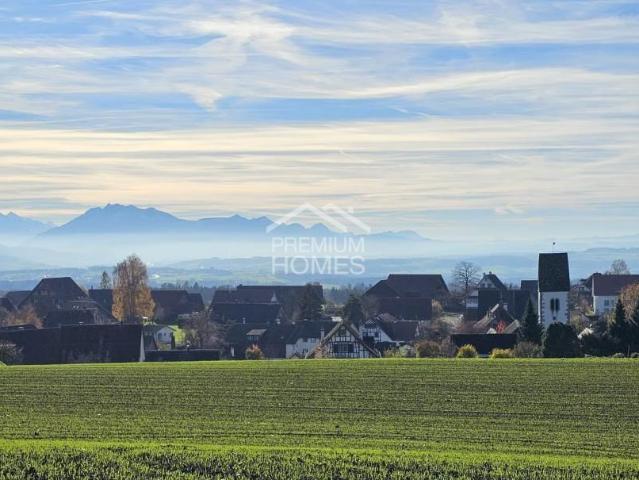 Attikawohnung kaufen in Rifferswil, Zürich