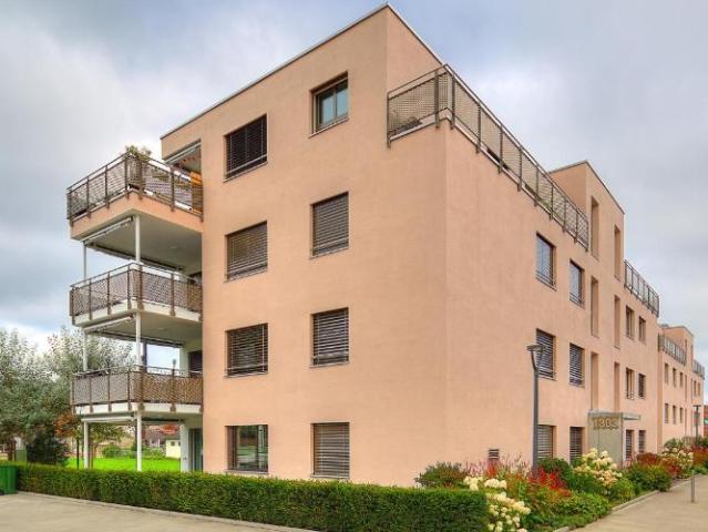 Apartment mieten in Gontenschwil, Aargau
