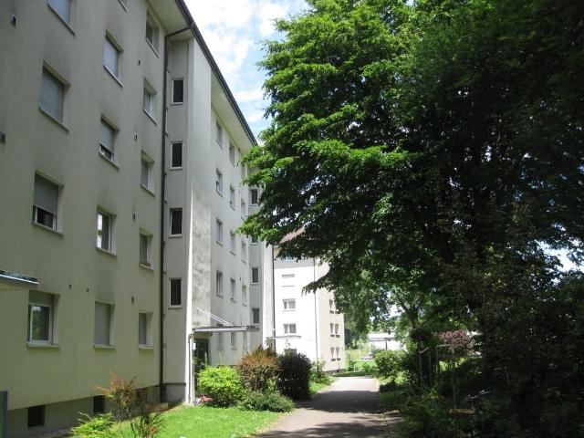 Wohnung mieten in Einigen, Zürich