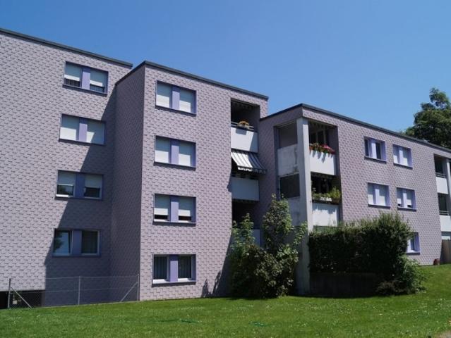 Wohnung mieten in Hasebüel, Frauenfeld