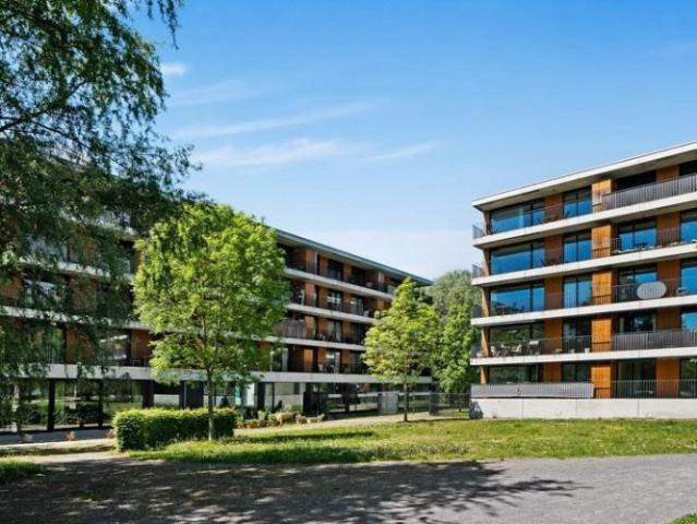 Apartment mieten in Biel, Bern