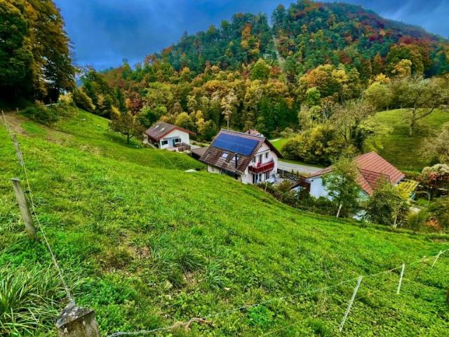 Grundstück kaufen in Grindel, Solothurn