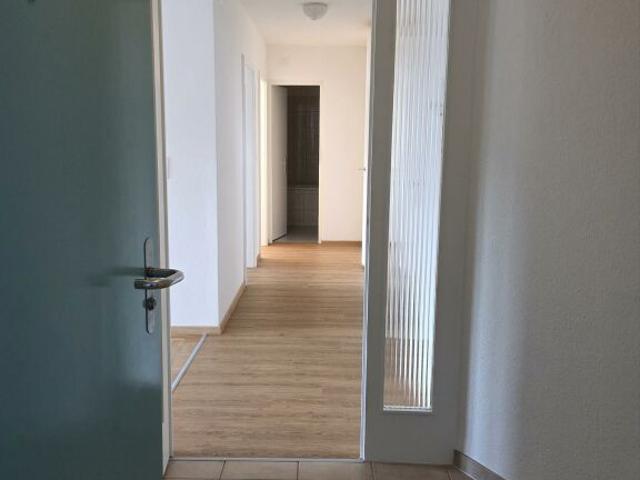 Wohnung mieten in Brugg (AG)