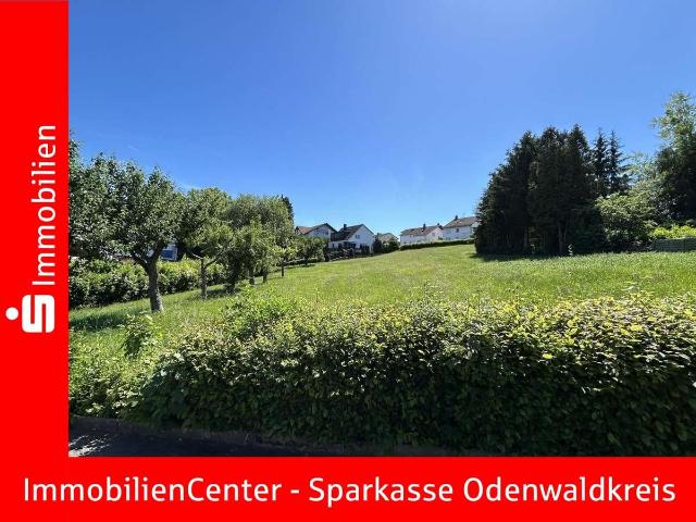 Erdgeschosswohnung kaufen in Erbach, Alb-Donau-Kreis