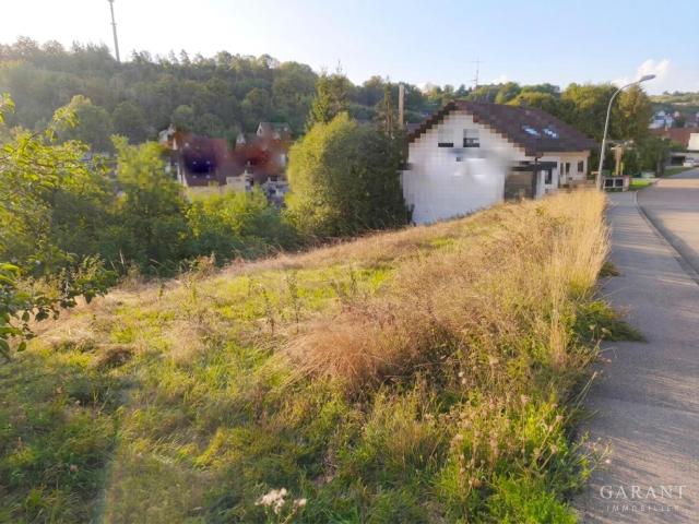 Landwirtschaft kaufen in Haiterbach, Baden-Württemberg
