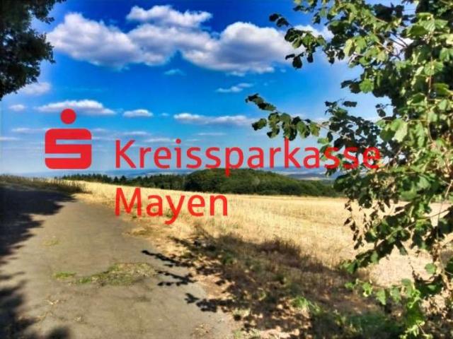 Haus kaufen in Kürrenberg, Mayen