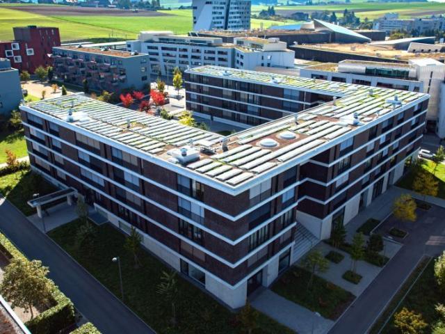 Apartment mieten in Bern