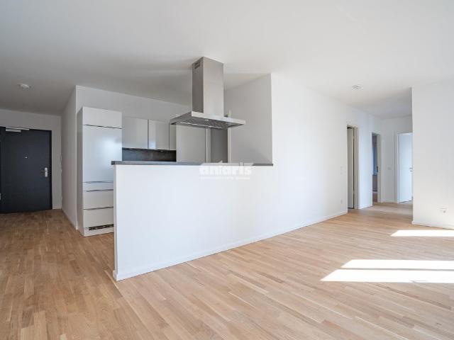 Wohnung mieten in Dresden