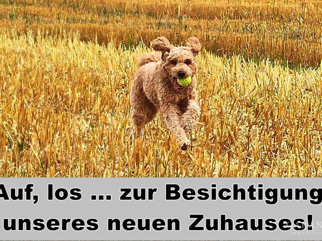 Landwirtschaft kaufen in Böhmenkirch, Landkreis Göppingen