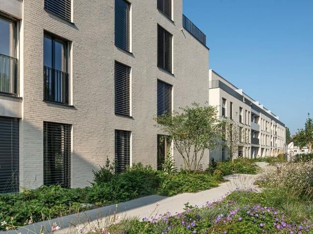 Wohnung mieten in Au, Bremgarten