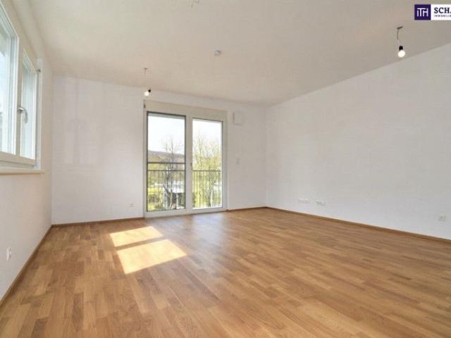 Apartment mieten in Zösenberg, Weinitzen