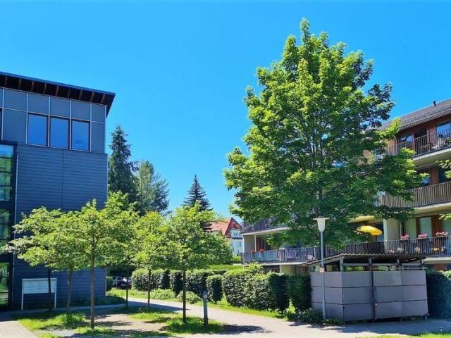 Apartment mieten in Einsiedel, Chemnitz