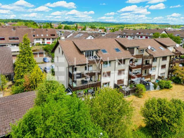 Immobilie kaufen in Birr, Bezirk Brugg