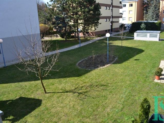 Apartment mieten in KG Auhof, Wien