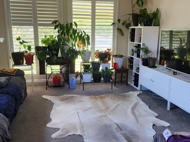 Room for rent in Capital Hill, Australian Capital Territory