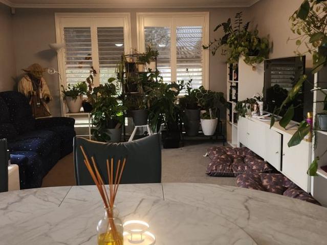 Room for rent in Capital Hill, Australian Capital Territory