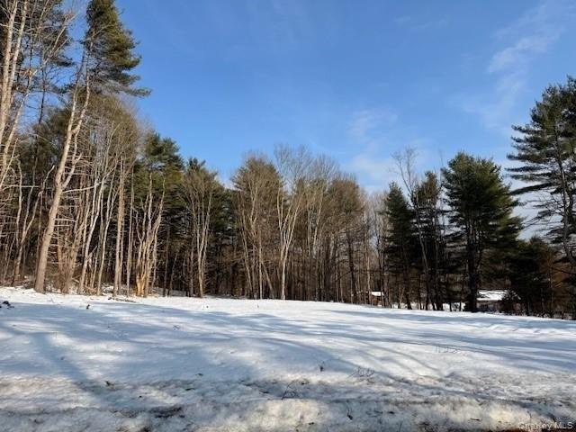Land for sale in Glen Spey, New York