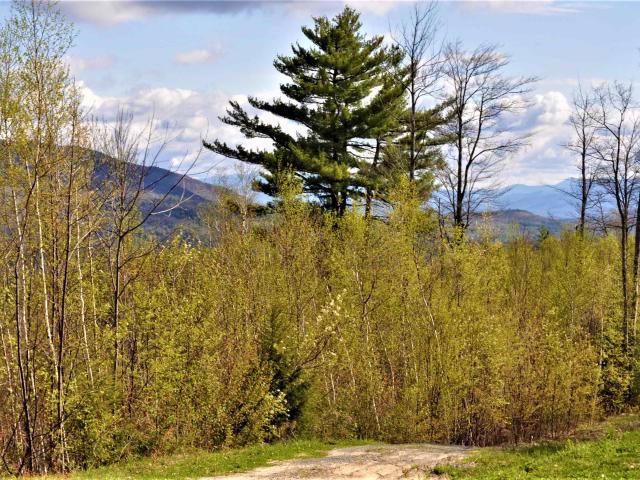 Land for sale in New Hampshire