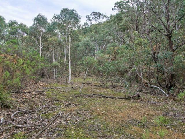 Land for sale in Omeo, Victoria