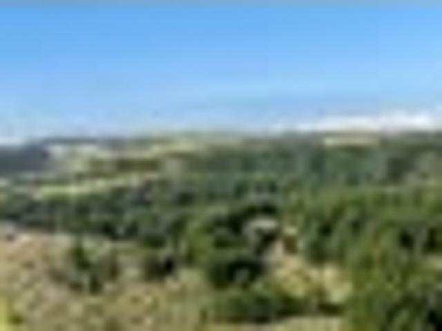 Land for sale in Whangaparaoa