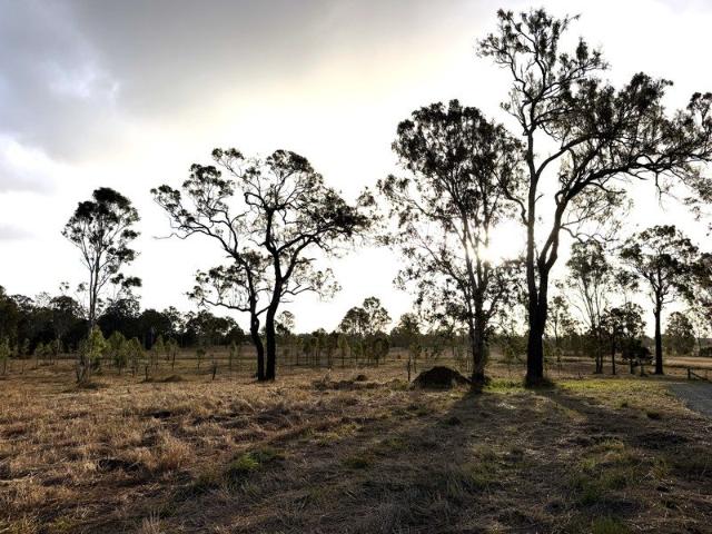 Land for sale in Tiaro, Queensland