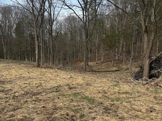 Land for sale in Catskill, New York