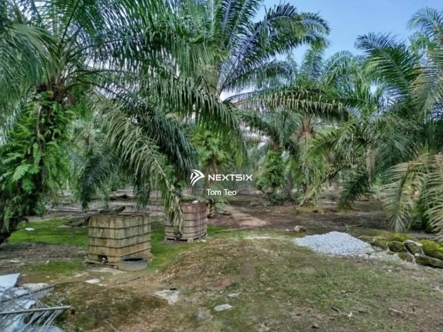 Residential House for sale in Georgetown, Penang
