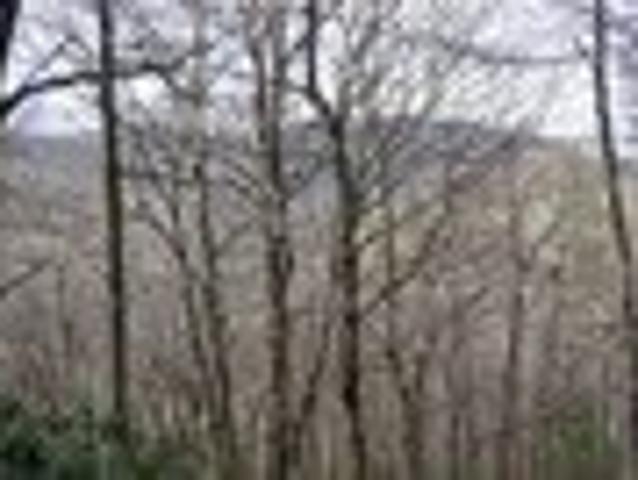 House for sale in Highlands, North Carolina