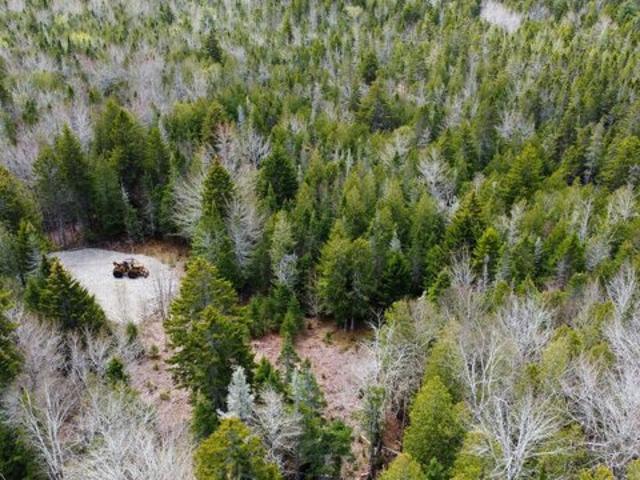 Land for sale in East Machias, Washington County