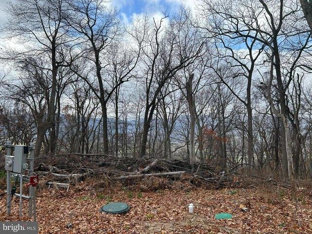 Land for sale in Hardy, West Virginia