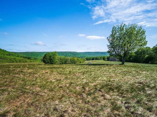 Land for sale in Davis, West Virginia