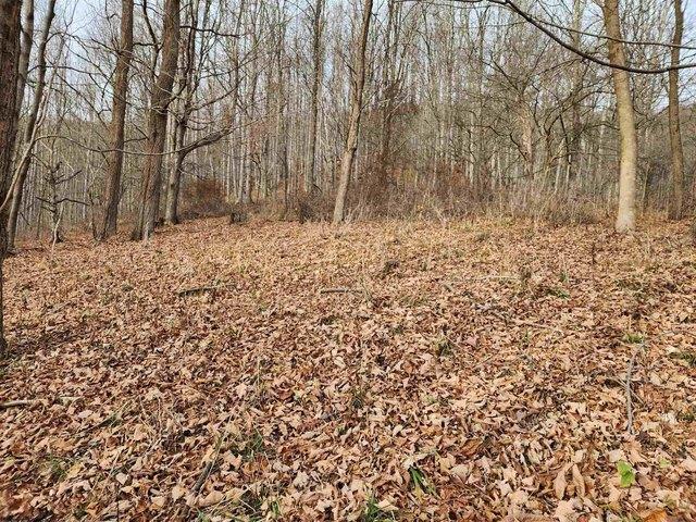 Land for sale in Harman, West Virginia