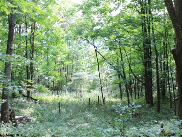 Land for sale in Harman, West Virginia