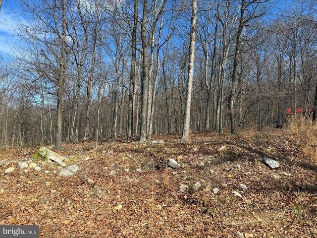 Land for sale in Romney, West Virginia