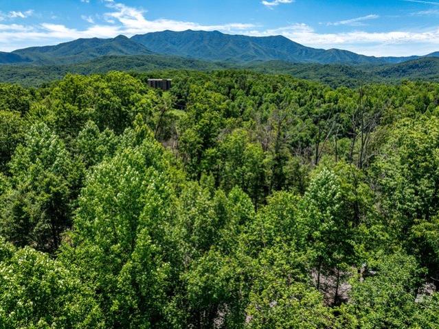 Land for sale in Black Bear Falls, Gatlinburg