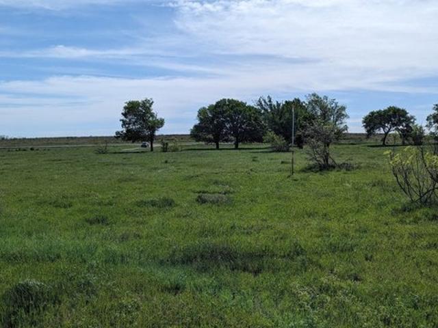 Land for sale in Clay, Texas