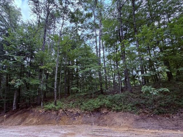 Land for sale in East Waterboro, Maine